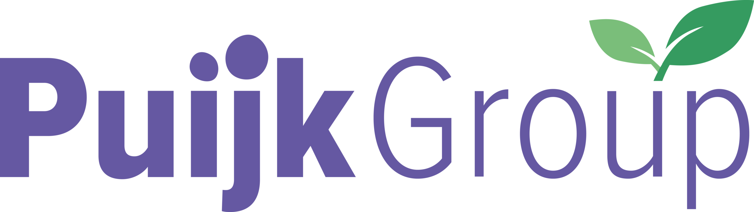 211119_LogoPuijkGroup_kleur (1)